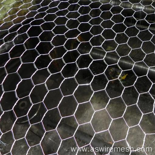 professional promotional Hexagonal wire netting